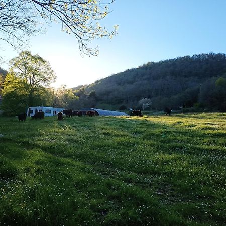 Ferme Les Therondels Saint-Pons-de-Thomieres Bagian luar foto