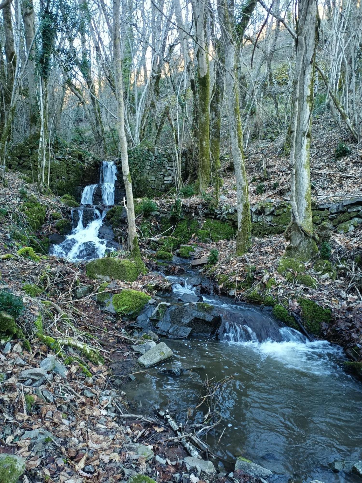Ferme Les Therondels Saint-Pons-de-Thomieres Bagian luar foto